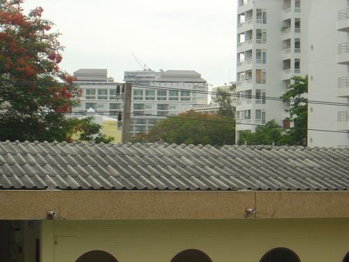 b96.jpg